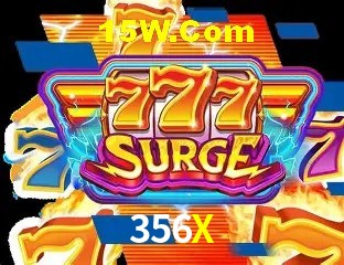 356X - Customer Support