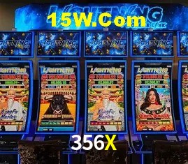 356X - Support