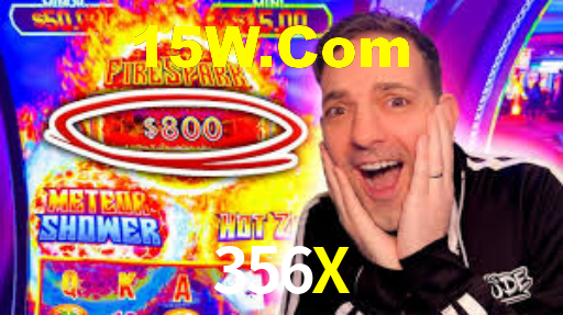 356X
